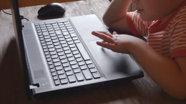 Los niños pequeños usan laptop — Vídeo de stock