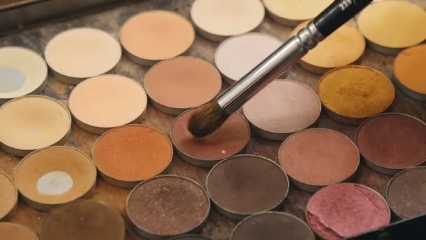 Schaduw kit met borstel voor make-up — Stockvideo