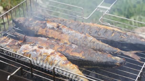 Pesce grigliato alla griglia — Video Stock