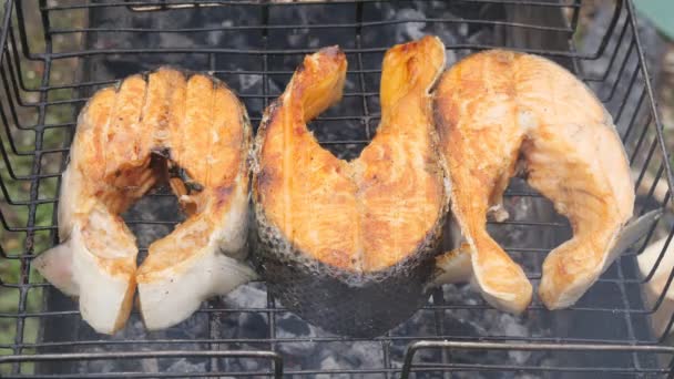 Fish fried on a grill — Stock Video