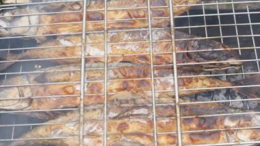 Bir ızgara kızarmış balık