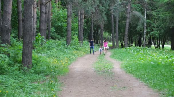 Matka a mladá dcera a otec, mladá rodina na procházce v parku v létě — Stock video