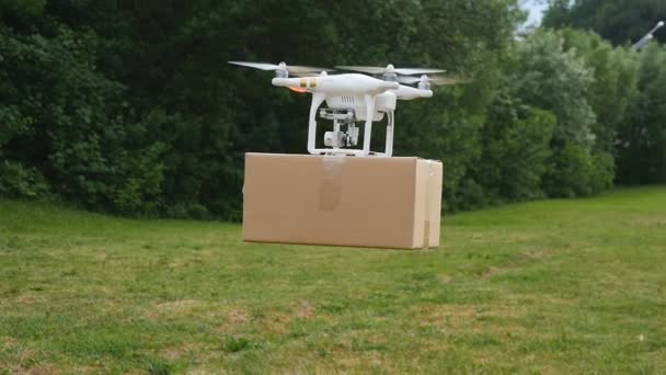 Drone delivers parcel — Stock Video