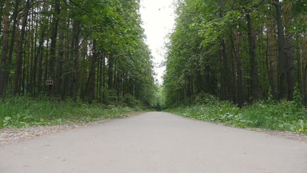 Corredor em uma trilha na floresta em câmera lenta — Vídeo de Stock