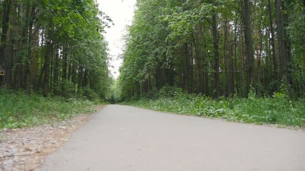 Szczęśliwa para joggingu w parku, w zwolnionym tempie — Wideo stockowe