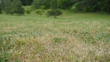 Uçan helikopter iniş