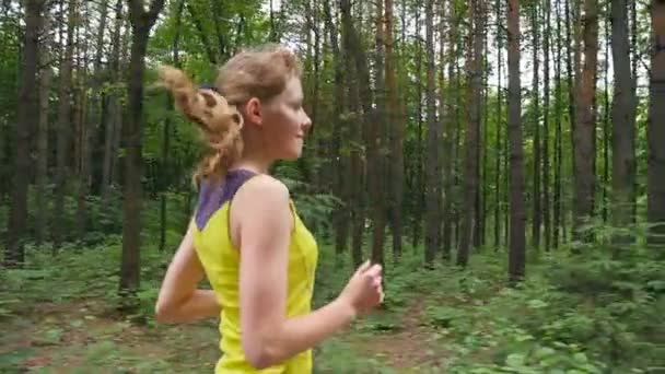 Menina correndo na trilha da floresta — Vídeo de Stock