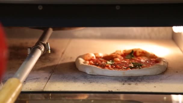 Italiensk Pizza i ugnen — Stockvideo