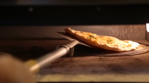 Italiensk Pizza i ugnen — Stockvideo