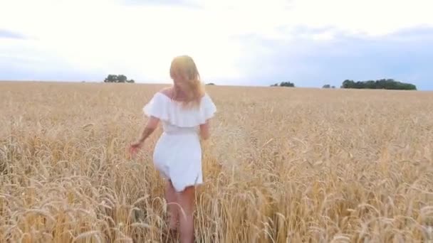 Hermosa mujer huir en el campo de trigo — Vídeos de Stock