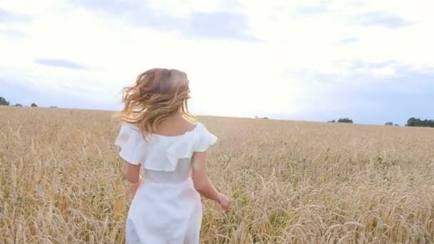 Mooie vrouw in een tarweveld weglopen — Stockvideo