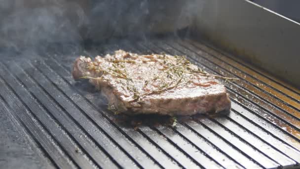 Steak sur le gril — Video