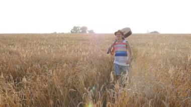 Buğday alan akustik gitar ile genç adam.