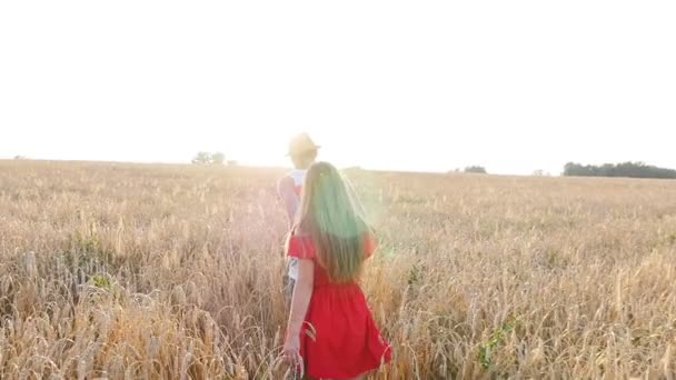 Feliz joven pareja caminando juntos a través del campo de trigo — Vídeos de Stock