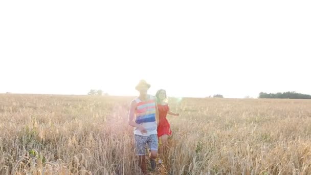 Молода закохана пара веселиться на пшеничному полі влітку — стокове відео