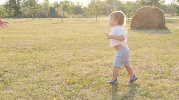 Happy father and son playing together having fun — Stock Video