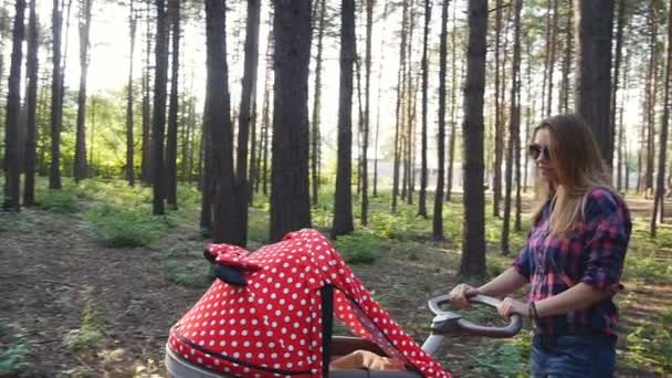 Happy young mother with baby in buggy walking in park — Stock Video