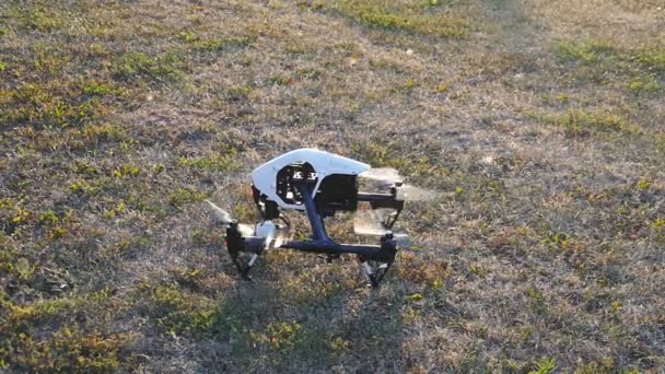 Drone decolla dall'erba — Video Stock