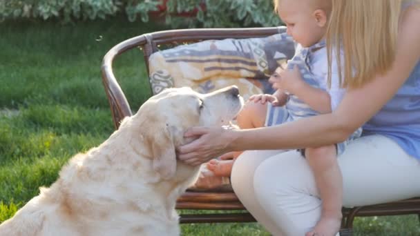 Mor och hennes son i parken med en golden retriever hund — Stockvideo