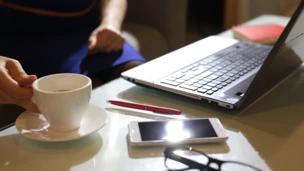 Hermosa mujer joven se sienta en el interior de un restaurante cafetería, sosteniendo una taza de café mientras usa su ordenador portátil PC — Vídeos de Stock