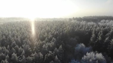 Kış doğası kavramı. Bir kış ormanının havadan görünüşü