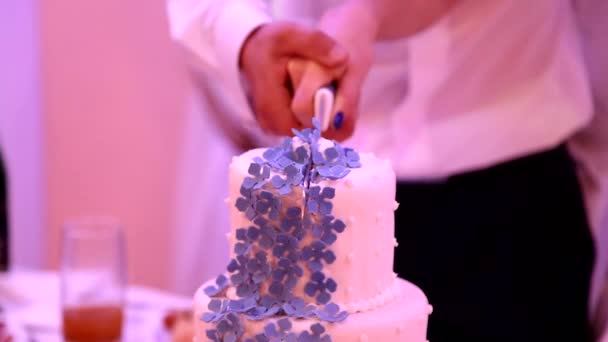 Styckning bröllopstårta — Stockvideo