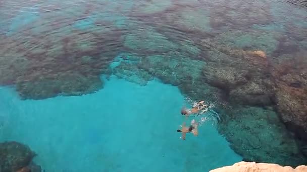 Casal jovem snorkeling em conjunto em um mar — Vídeo de Stock