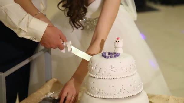 Anschneiden der Hochzeitstorte — Stockvideo