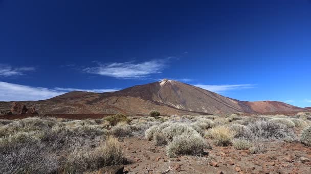 Sopečná krajina El Teide — Stock video
