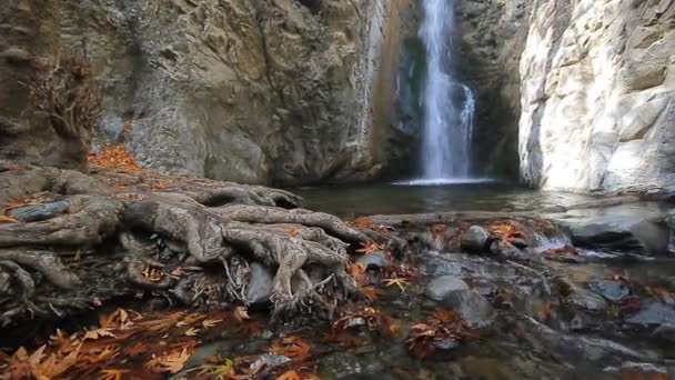 Millomeri waterfall  and stream in the forest at Troodos mountains — Stock Video