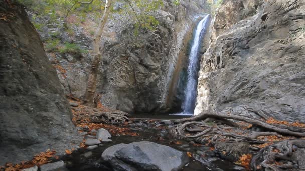Millomeri-vízesés és a patak az erdő, a Troodos-hegység — Stock videók