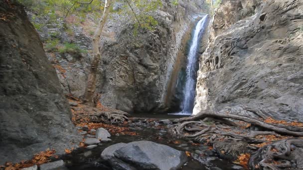 Millomeri Şelalesi ve akış Troodos Dağları, ormandaki — Stok video