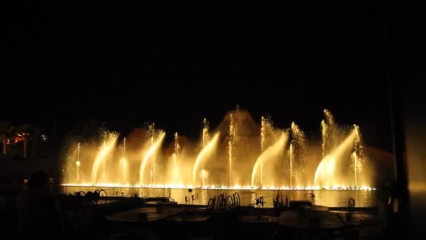 Amazing dancing fountain — Stock Video