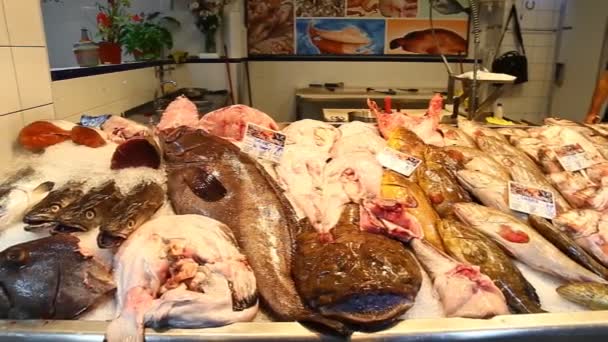 Vitrine des fruits de mer sur le marché de la mer Espagne — Video