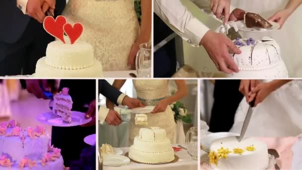 Wedding cake cutting collage — Stock Video