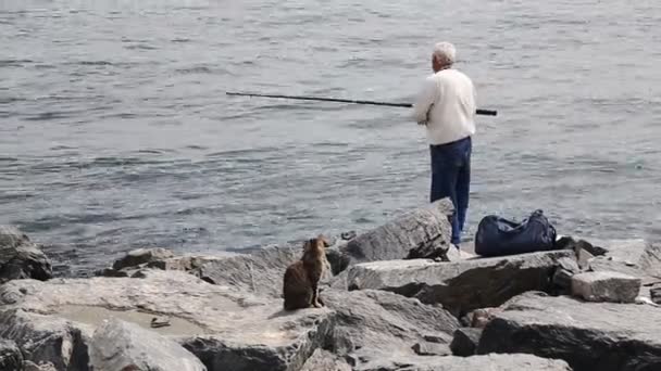 Un viejo pescador pescando en Estambul con gato esperando un almuerzo rápido y gratis — Vídeo de stock