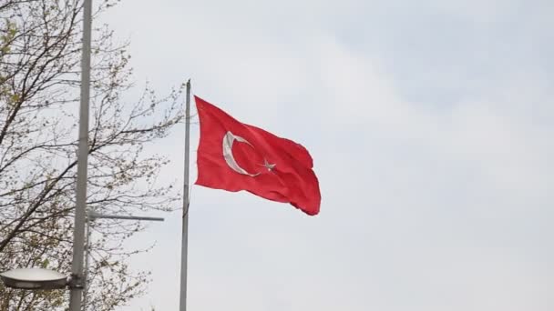 Turkse vlag mooie grote Turkse vlag — Stockvideo