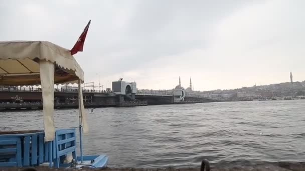 Sea gull and landscape Golden Horn in Istanbul. Turkey — Stock Video