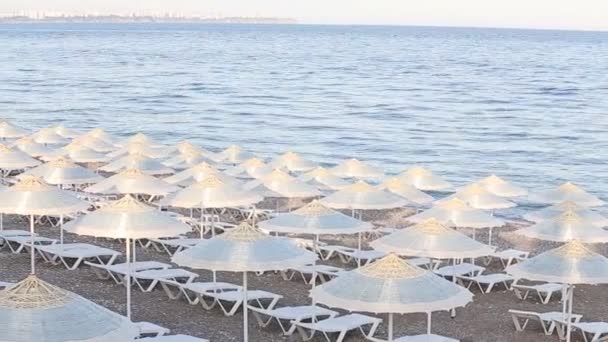 Mnoho slaměné slunečníky na břehu moře v Turecku — Stock video