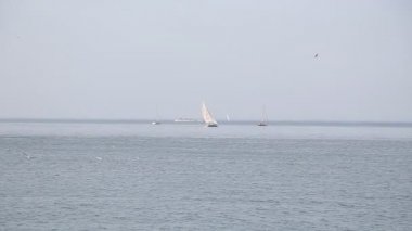 güneşli bir günde ufukta yelkenli