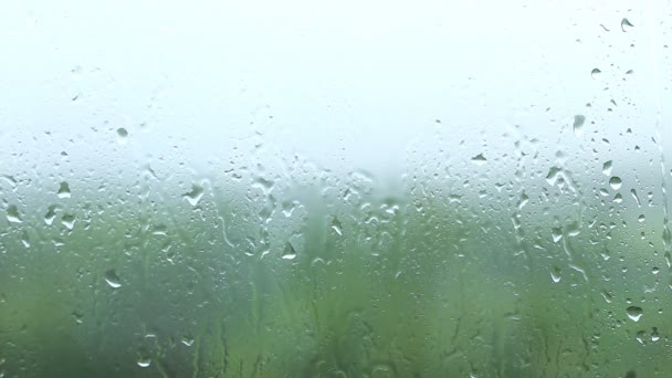 Lluvia sobre vidrio — Vídeos de Stock