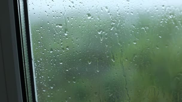 déšť na sklo