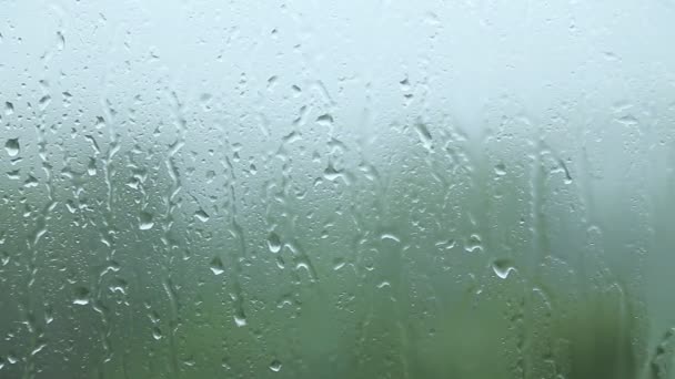 Дождь по стеклу — стоковое видео