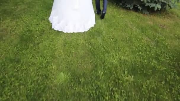Hochzeitspaar zu Fuß — Stockvideo