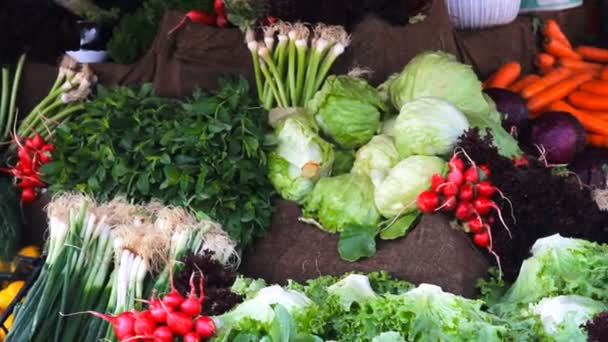 Taze sağlıklı bio rezene ve havuç Istanbul çiftçi tarım piyasasında — Stok video