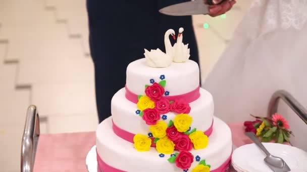 Corte de pastel de boda — Vídeo de stock