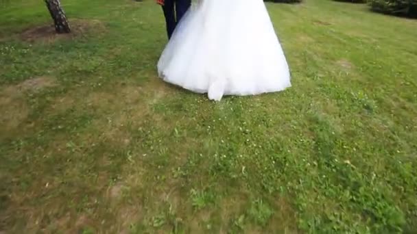 Bruidspaar wandelen — Stockvideo