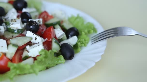 Fräsch sallad med olivolja — Stockvideo