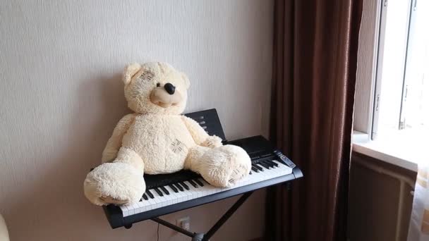 Teddy on piano — Stock Video