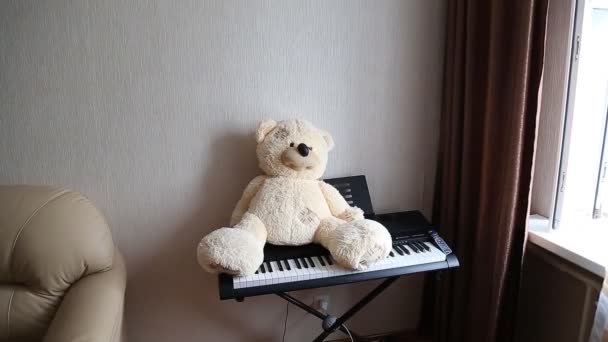 Teddy op piano — Stockvideo